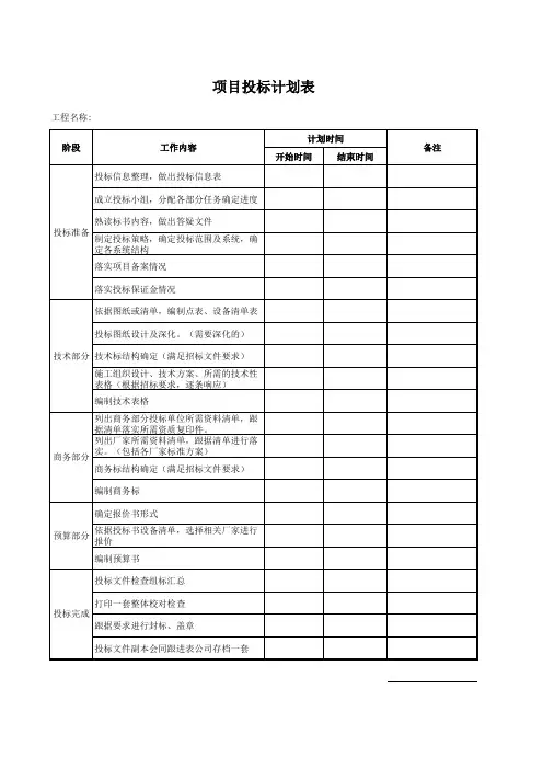 投标计划表