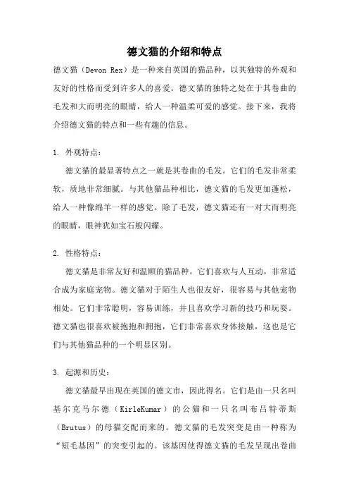 德文猫的介绍和特点