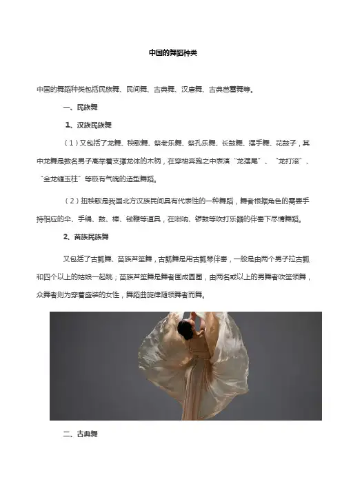 中国的舞蹈种类