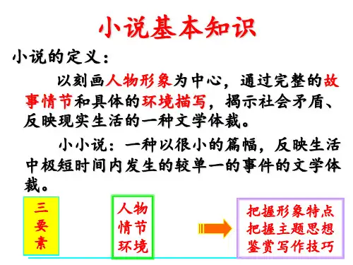 小说知识课件(12张)讲课教案