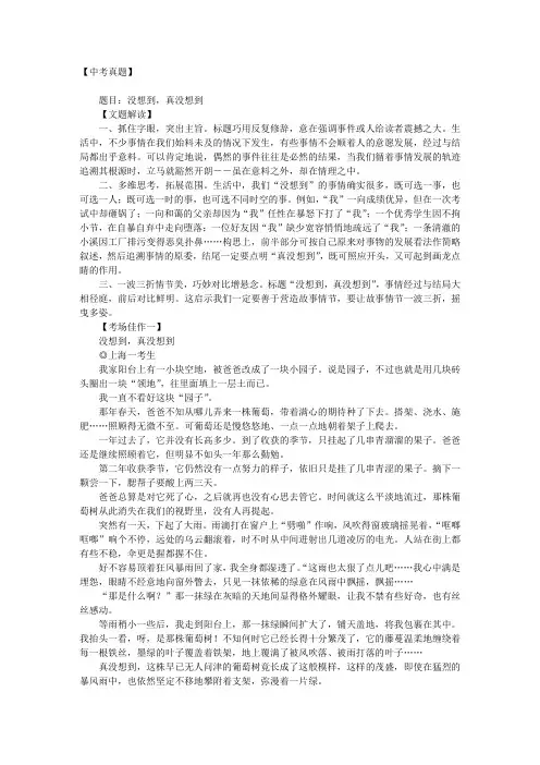 2016年上海市中考高分作文解析