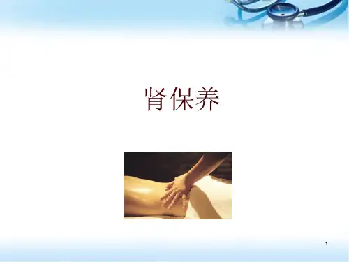 肾保养医学PPT课件