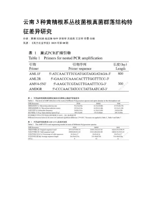 云南3种黄精根系丛枝菌根真菌群落结构特征差异研究