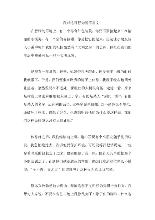 我对这种行为说不范文