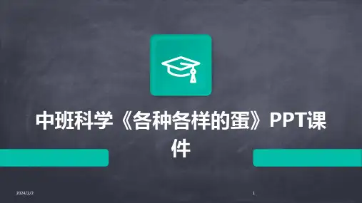 2024年度中班科学《各种各样的蛋》PPT课件