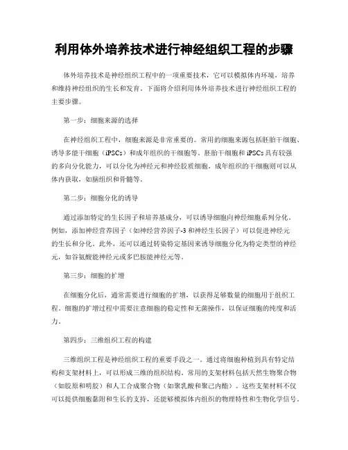 利用体外培养技术进行神经组织工程的步骤