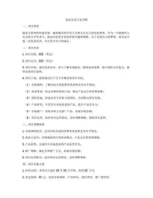 创业实训计划书啊