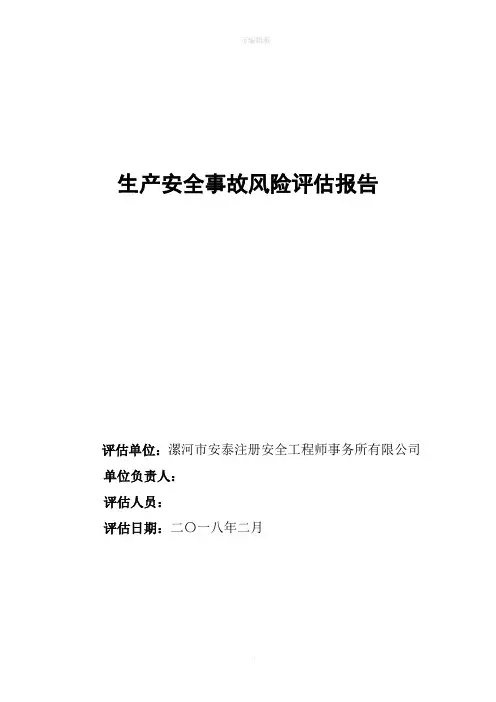 事故风险评估报告