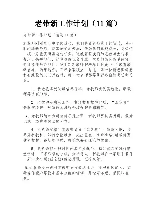 老带新工作计划(11篇)