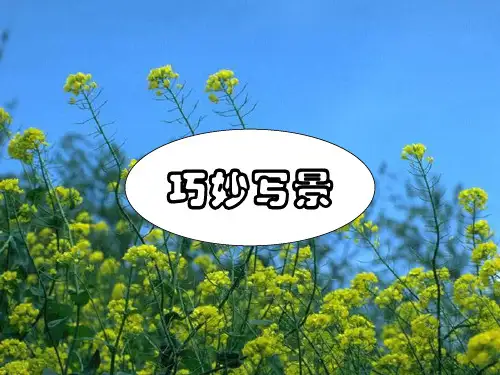 【初中作文】初中写景作文指导ppt