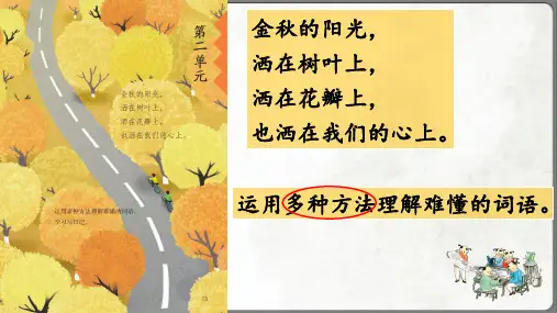 《铺满金色巴掌的水泥道》课件(共27张PPT)