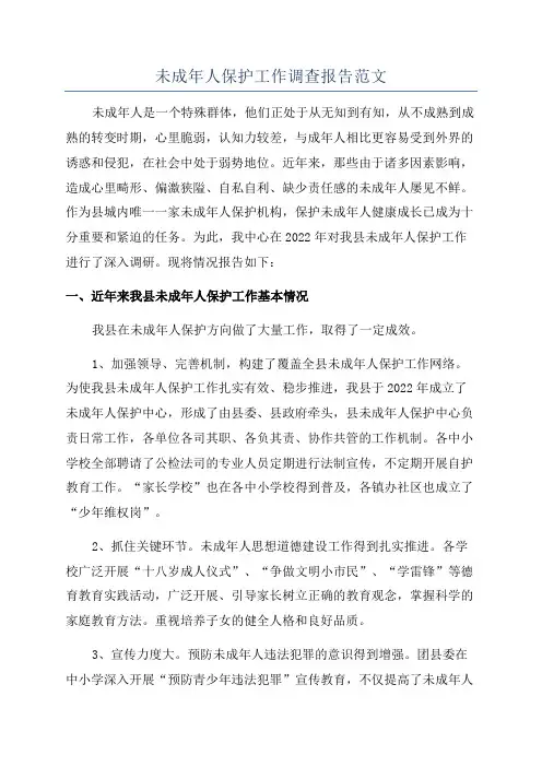 未成年人保护工作调查报告范文