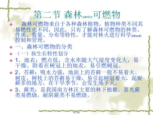 第二节 森林可燃物