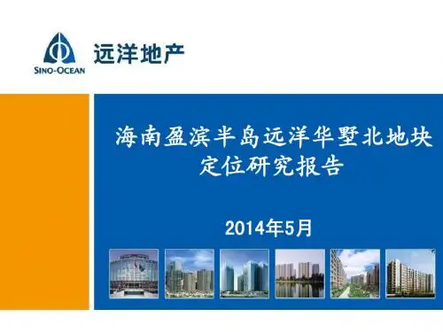 20140530_远洋海南盈滨半岛北地块定位研究...