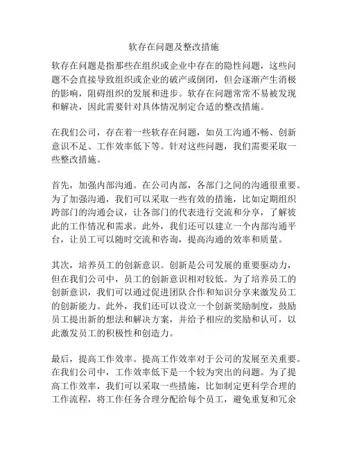 软存在问题及整改措施