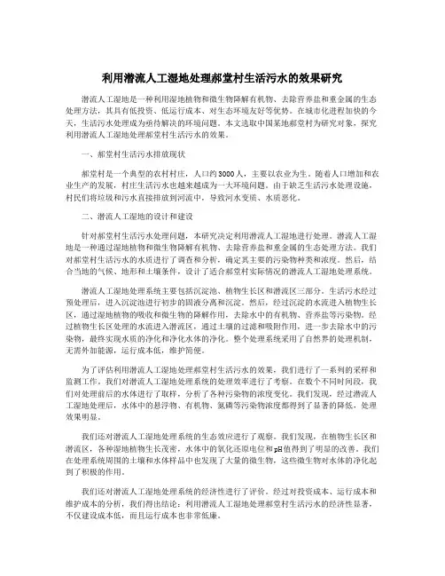 利用潜流人工湿地处理郝堂村生活污水的效果研究