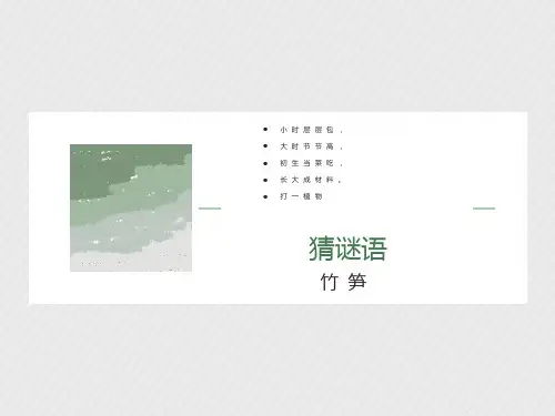 二年级语文下册第3课《笋芽儿》课件