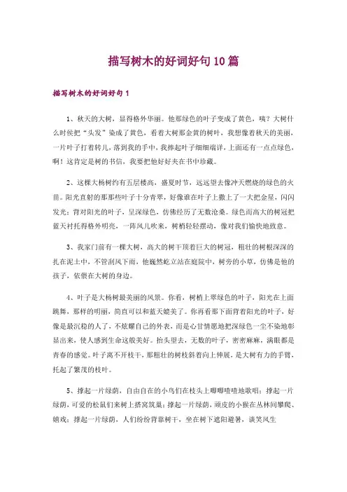 描写树木的好词好句10篇