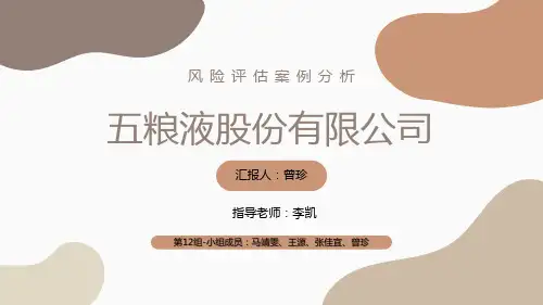 审计风险案例分析