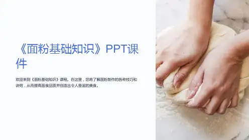 《面粉基础知识》课件