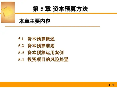 第五章资本预算方法.