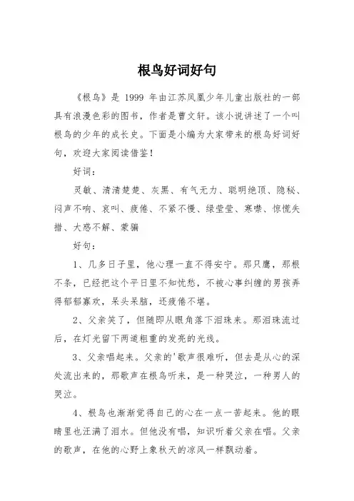 根鸟好词好句