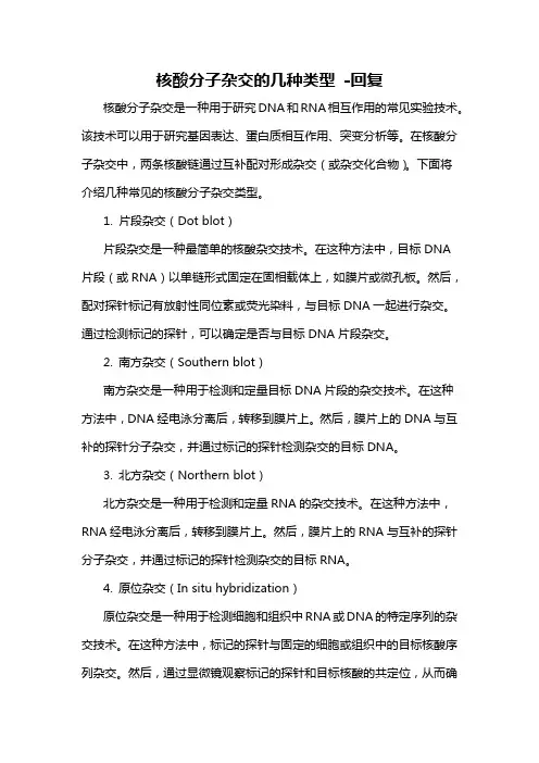 核酸分子杂交的几种类型 -回复