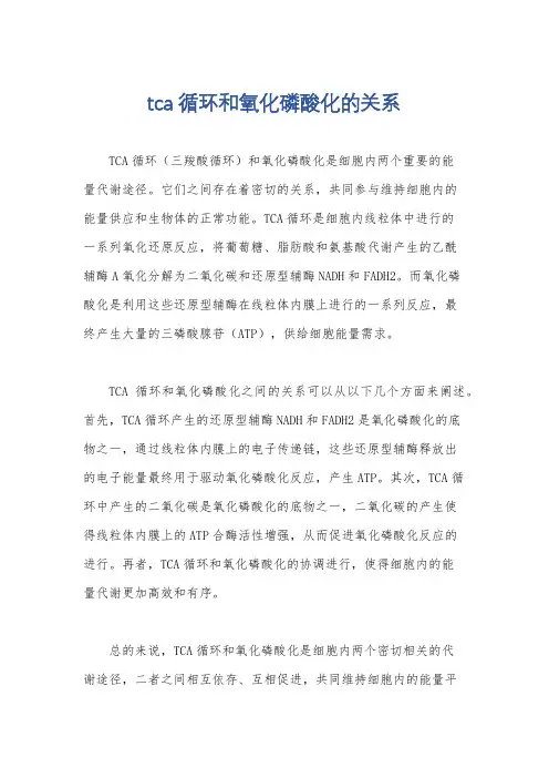 tca循环和氧化磷酸化的关系