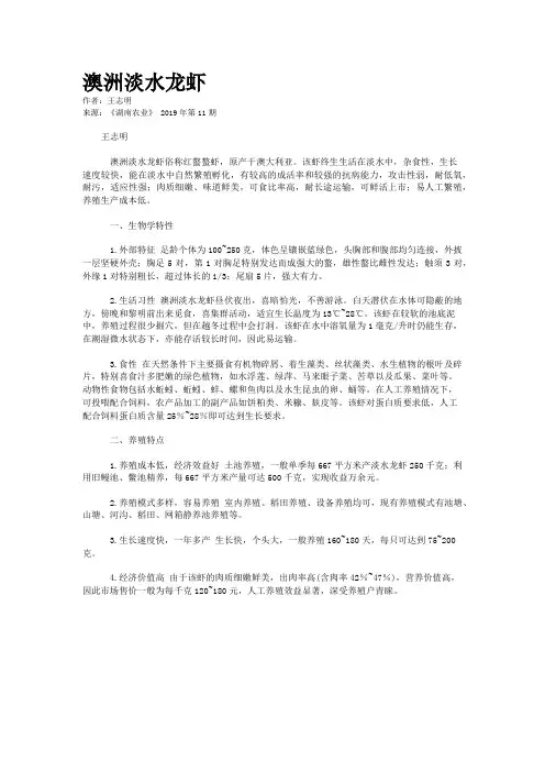 澳洲淡水龙虾