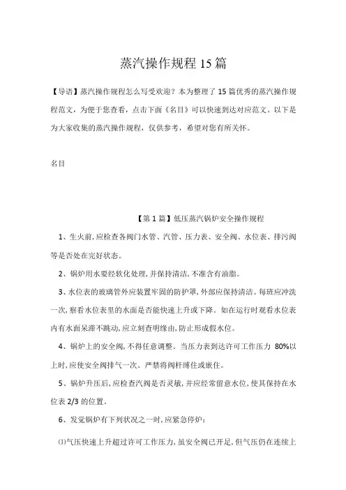 蒸汽操作规程15篇