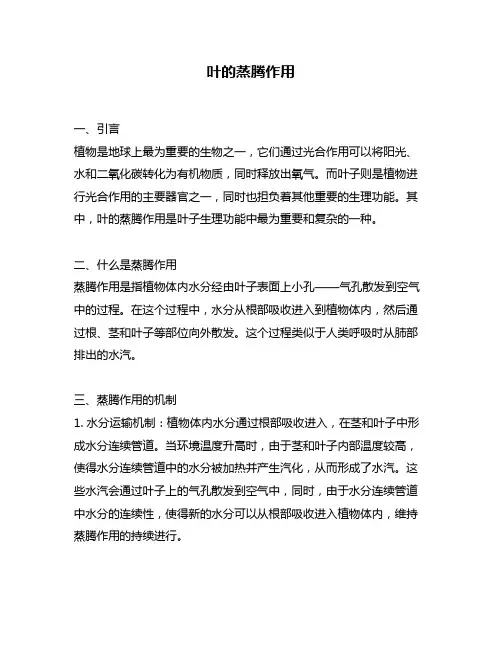 叶的蒸腾作用