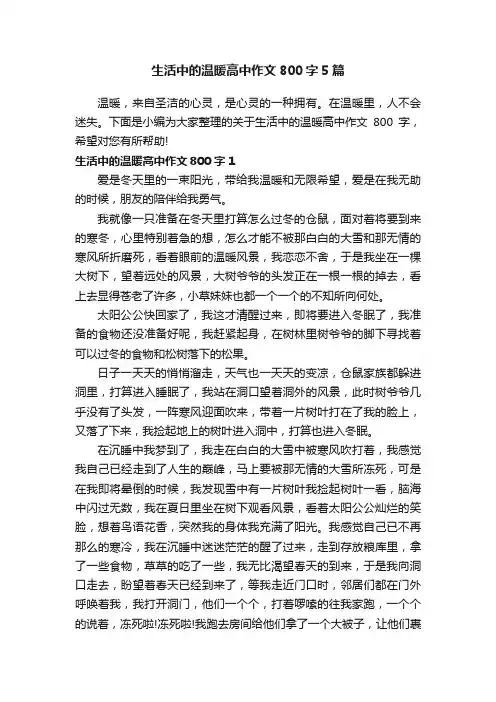 生活中的温暖高中作文800字5篇