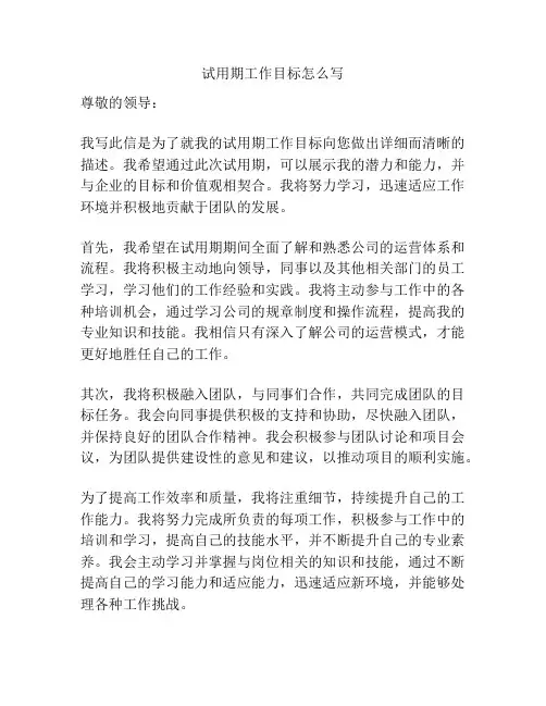 试用期工作目标怎么写