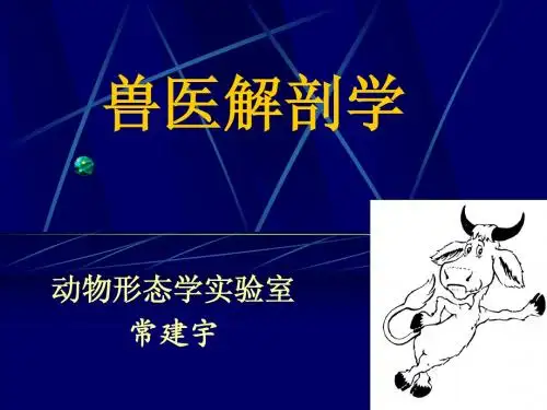 兽医解剖学绪论