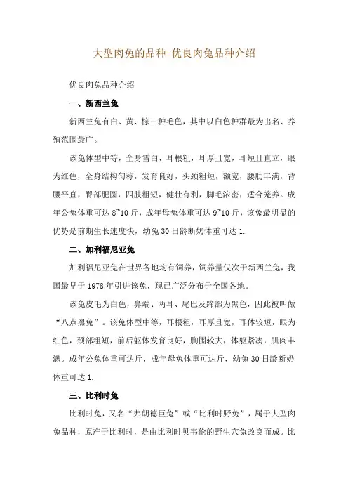 大型肉兔的品种-优良肉兔品种介绍