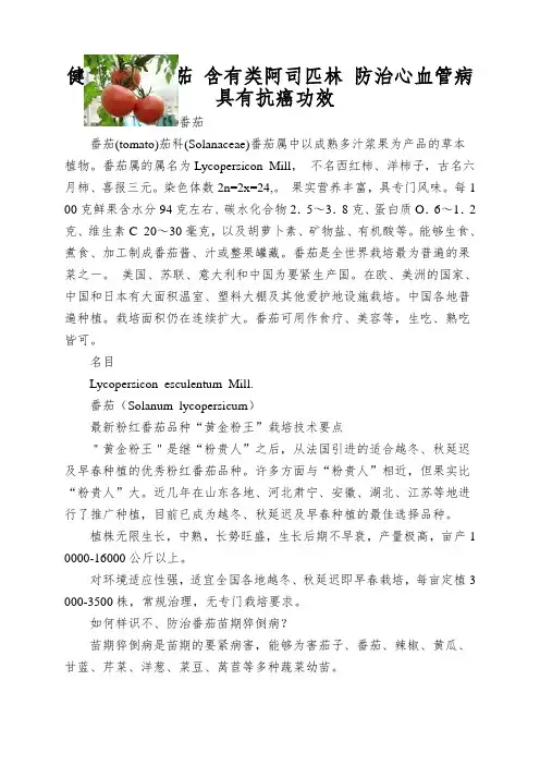 健康必读-番茄 含有类阿司匹林 防治心血管病 具有抗癌功效