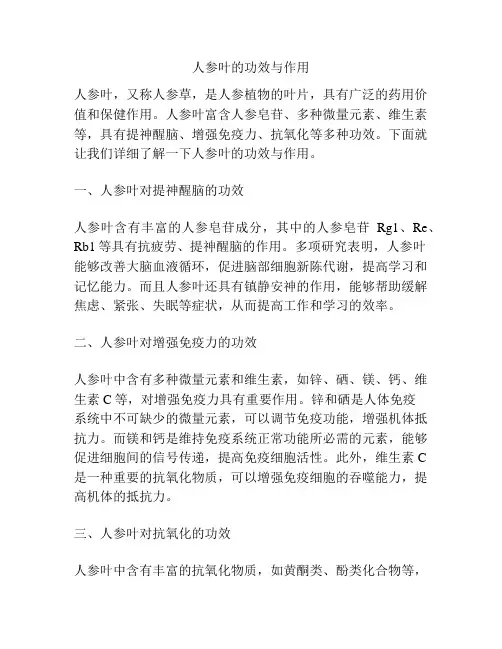 人参叶的功效与作用