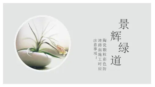 陶瓷颗粒彩色防滑路面施工时应注意的事项!