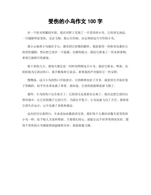 受伤的小鸟作文100字
