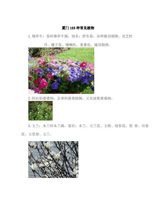 完整版,厦门103种常见植物