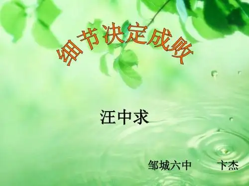 细节决定成败ppt3