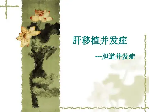肝移植并发症--胆道并发症.