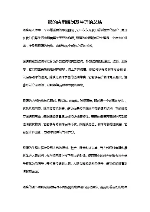 眼的应用解剖及生理的总结