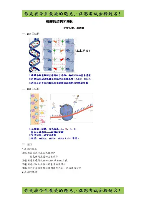 北京市第四中学高考生物总复习例题讲解：核酸的结构和基因生物