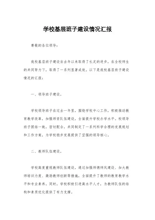 学校基层班子建设情况汇报