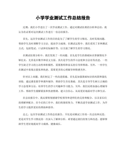 小学学业测试工作总结报告