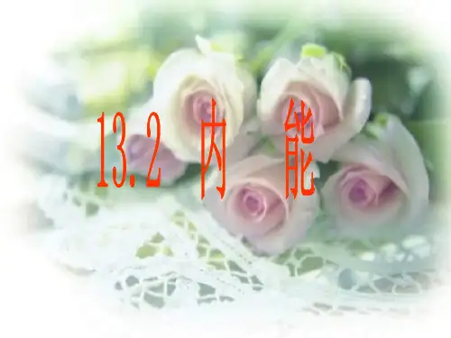 九年级物理第十三章第二节《内能》课件PPT