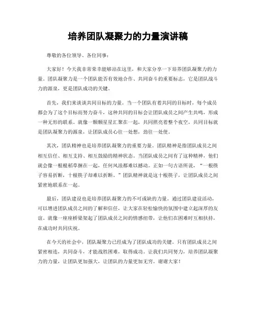 培养团队凝聚力的力量演讲稿