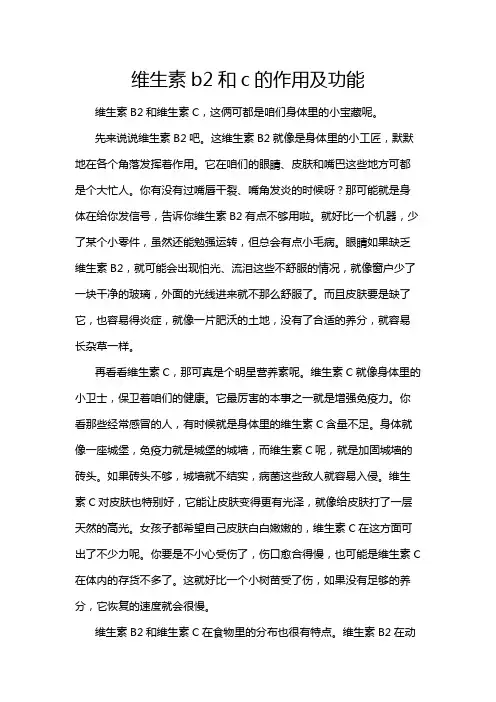 维生素b2和c的作用及功能