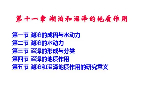 湖泊和沼泽的地质作用